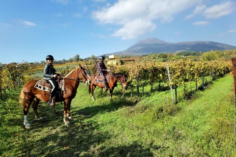Ridupplevelse på Vesuvius med vinprovning