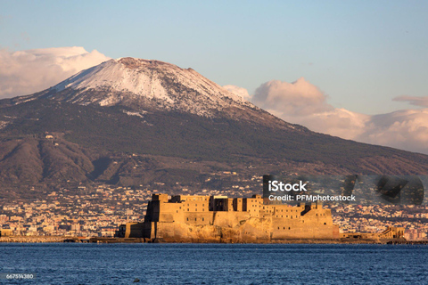 Naples: Pompeii and Mount Vesuvius Tour with Tickets