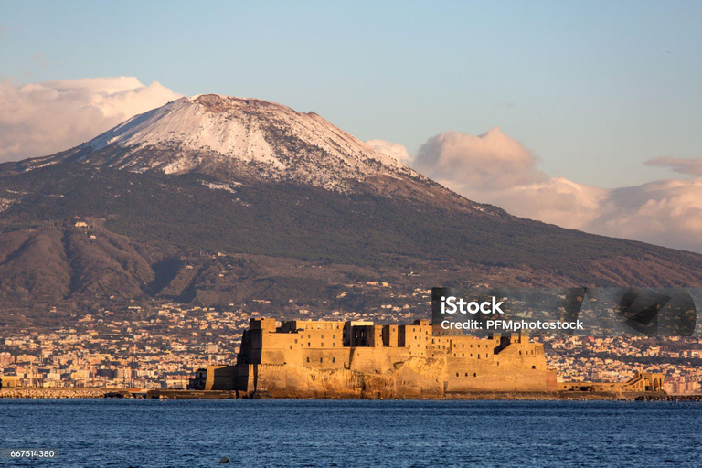 Naples: Pompeii and Mount Vesuvius Tour with Tickets