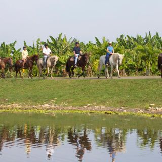 Da San Juan: avventura a cavallo all'Hacienda Campo Rico