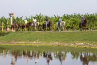 From Carolina, Horse Riding at a Private Ranch - Housity