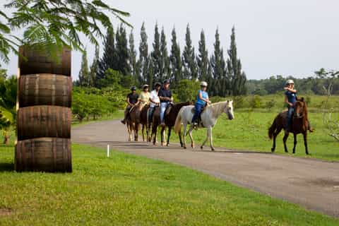 From Carolina: Horse Riding at a Private Ranch