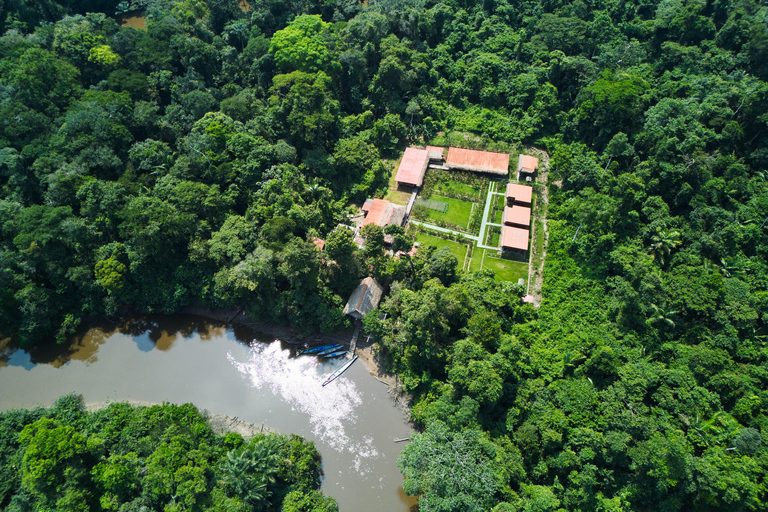 Cuyabeno : 4 jours d&#039;aventure dans la jungle amazonienne avec séjour en lodge