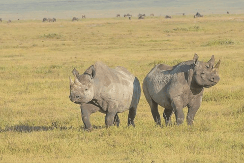 Tanzania: 8-Day Safari Tour with Accommodation