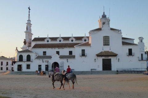 De Séville: visite privée d'une journée du parc national de Doñana