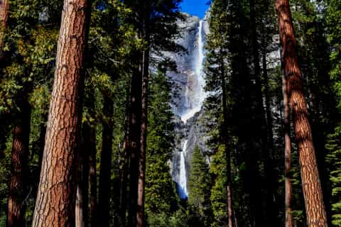 San Francisco: Yosemite National Park & Giant Sequoias Hike