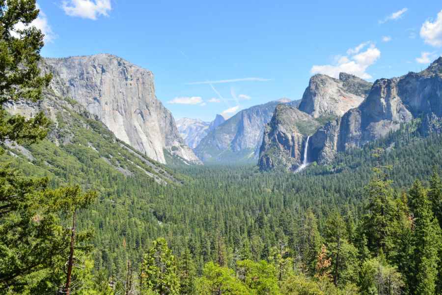 San Francisco: Yosemite-Nationalpark & Riesenmammutbäume. Foto: GetYourGuide