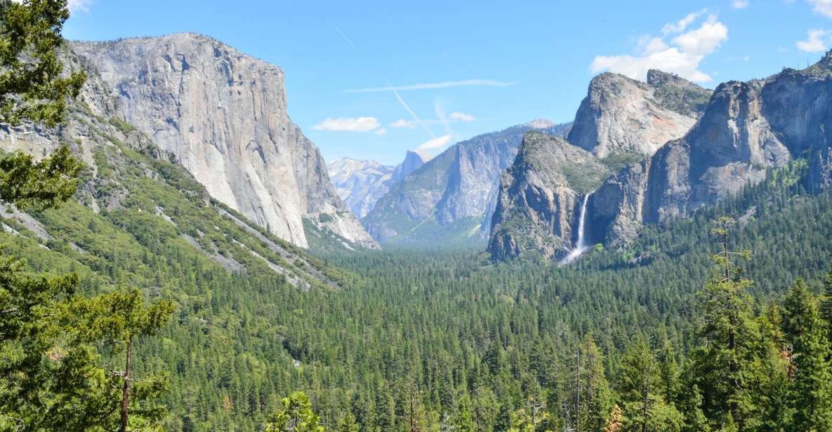 San Francisco: Yosemite-Nationalpark & Riesenmammutbäume