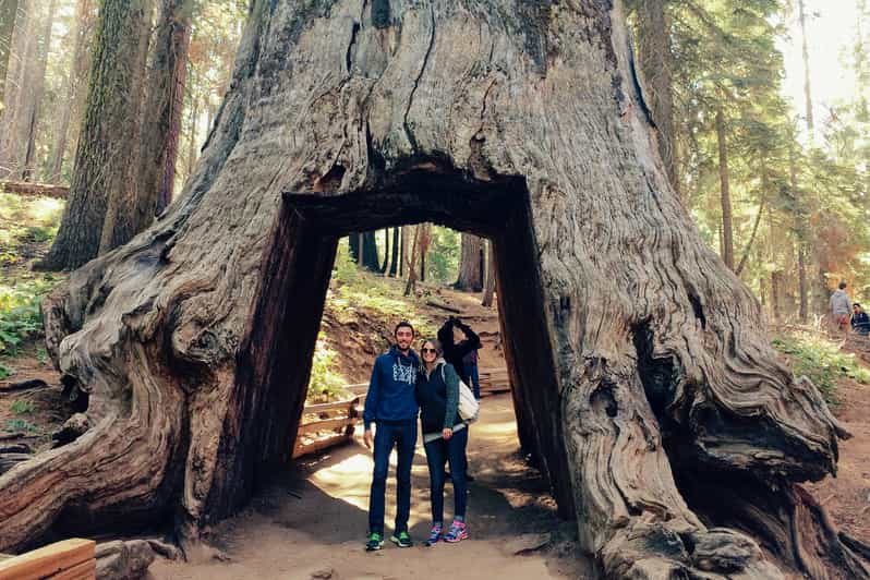 yosemite sequoia hike