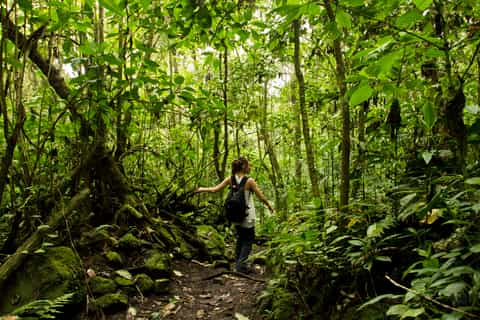 Chicaque helgedagstur fra Bogotá