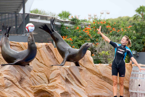 Mallorca: Marineland Tickets with Transfers from the North