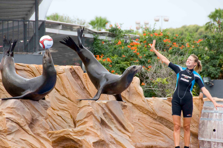 Mallorca: Marineland Tickets with Transfers from the North