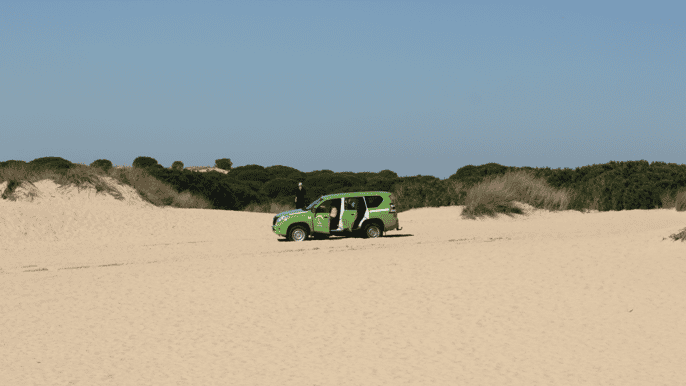 from seville private tour doñana park el rocio beach