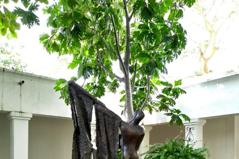 Santa Marta: Historic City Tour and Quinta de San Pedro Alejandrino