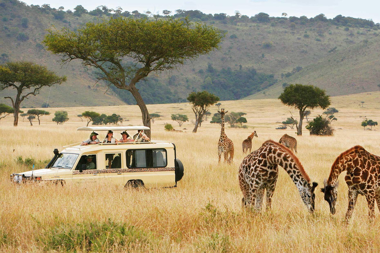 4 Days Private Midrange Safari from Zanzibar with Flights
