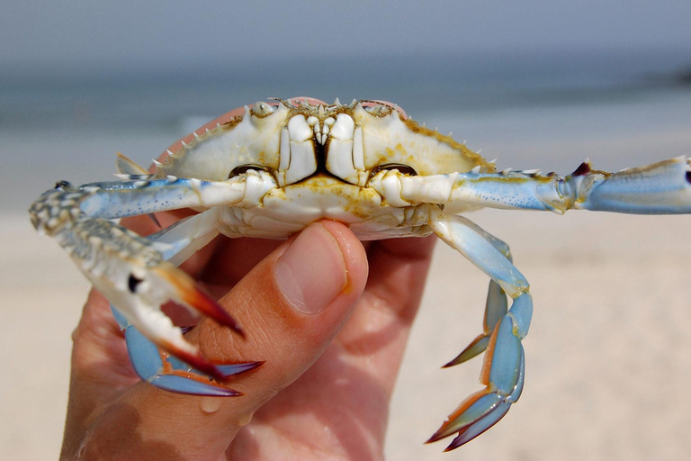 Antalya Fishing Tour With Hotel Transfer