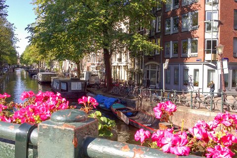 Amsterdam: tour a piedi della città e crociera sui canali