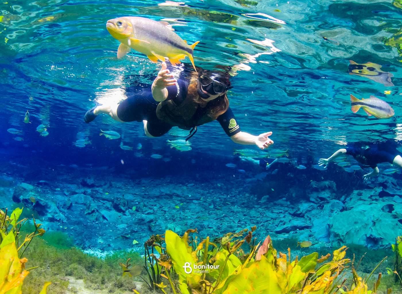 Schwimmen im Natur-Aquarium: das erste Schwimmen in Bonito
