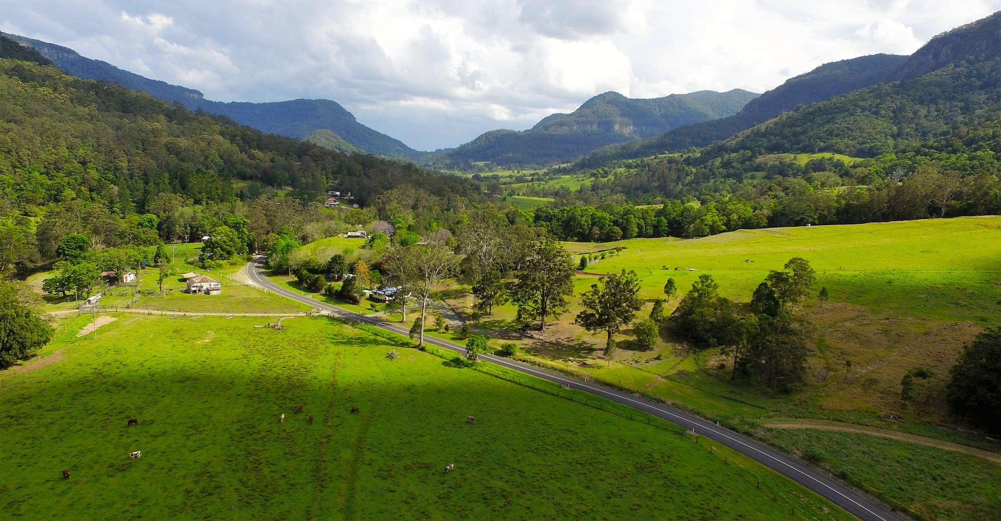 Gold Coast, Natural Bridge & Springbrook Waterfalls Tour - Hizvo