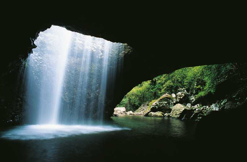 Gold Coast: Natural Bridge & Springbrook Waterfalls Tour