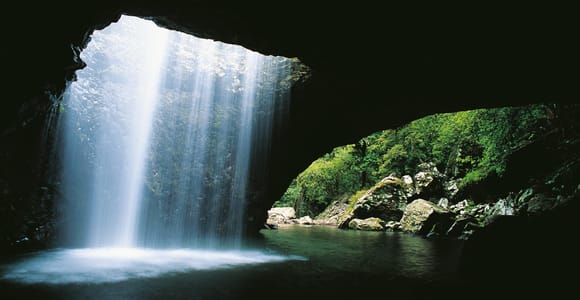 Gold Coast: Natural Bridge & Springbrook Waterfalls Tour