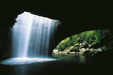 Gold Coast: Natürliche Brücke & Springbrook-Wasserfall-Tour