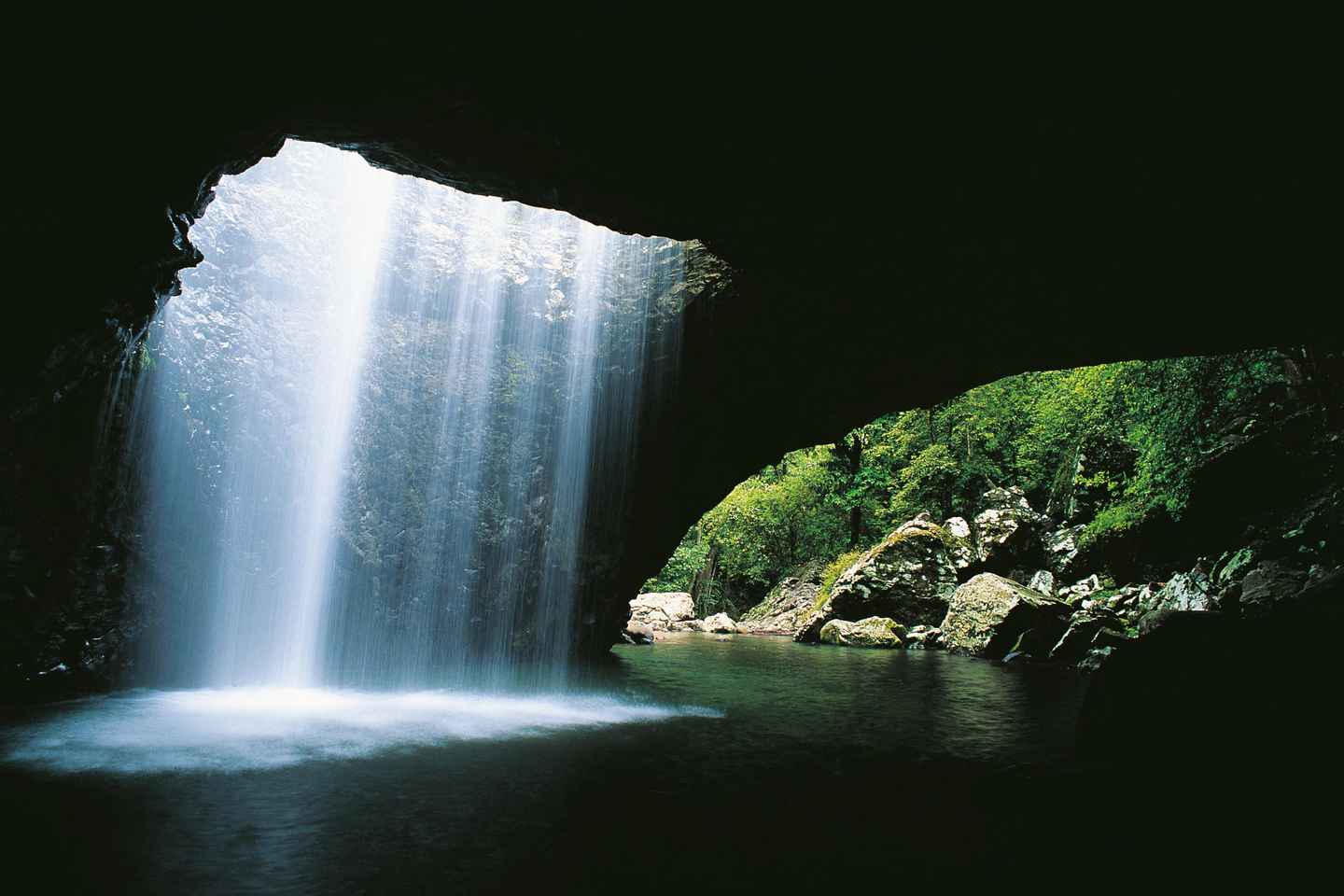 Gold Coast: Natural Bridge & Springbrook Waterfalls Tour - Gold Coast: Natural Bridge & Springbrook Waterfalls Tour