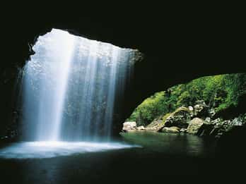 Gold Coast: Natural Bridge & Springbrook Waterfalls Tour