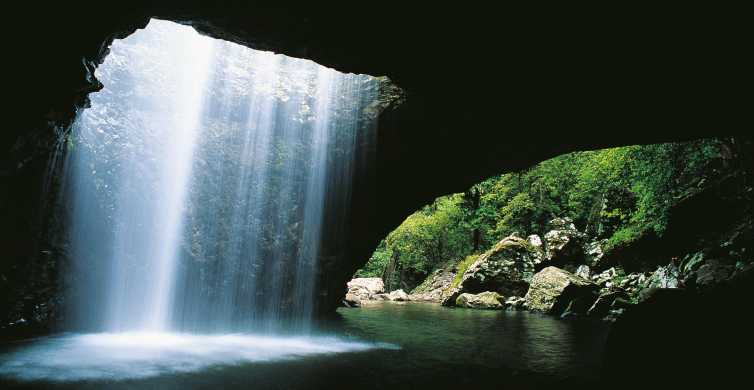 Gold Coast Natural Bridge & Springbrook Waterfalls Tour