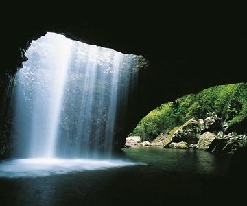 Gold Coast: Natural Bridge & Springbrook Waterfalls Tour