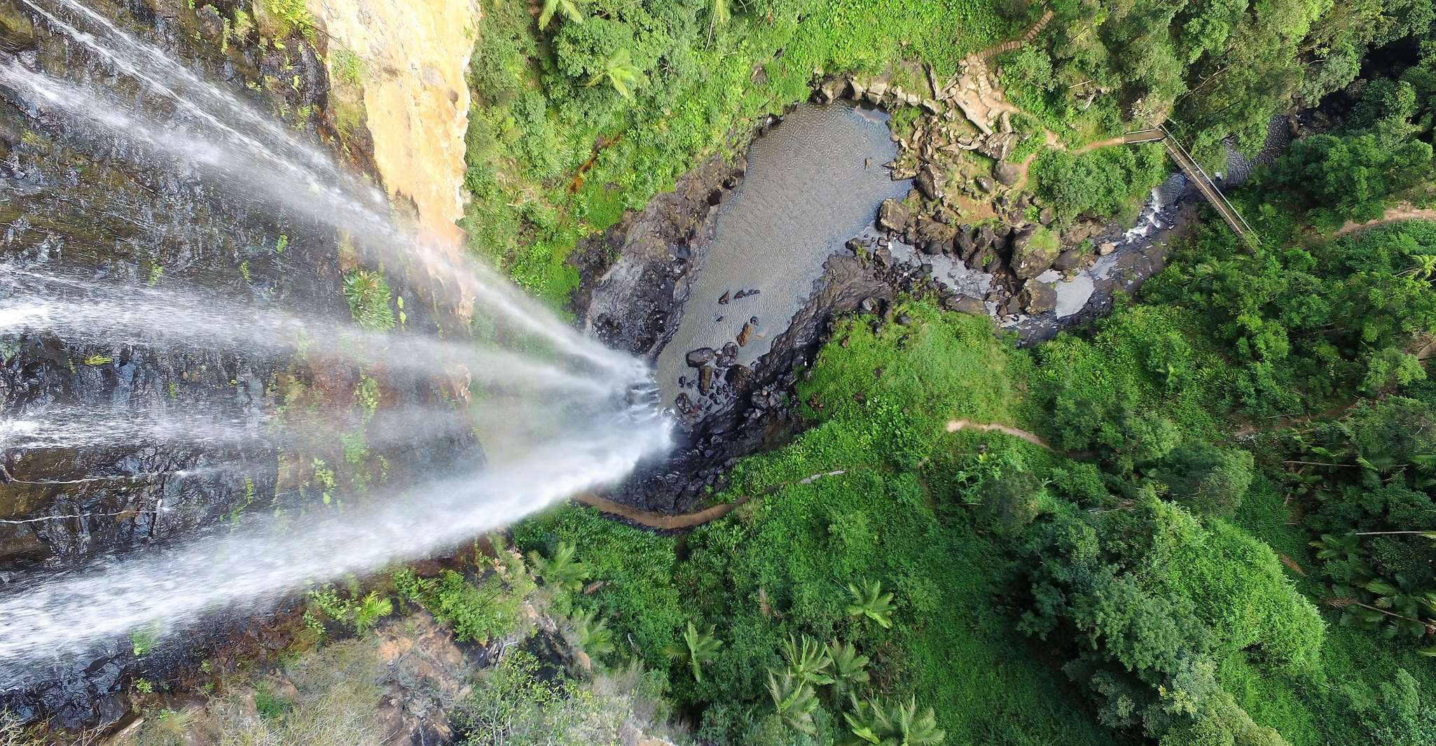 Gold Coast, Natural Bridge & Springbrook Waterfalls Tour - Hizvo