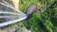 Gold Coast, Natural Bridge & Springbrook Waterfalls Tour yakınlarında yapılacak şeyler - Hizvo