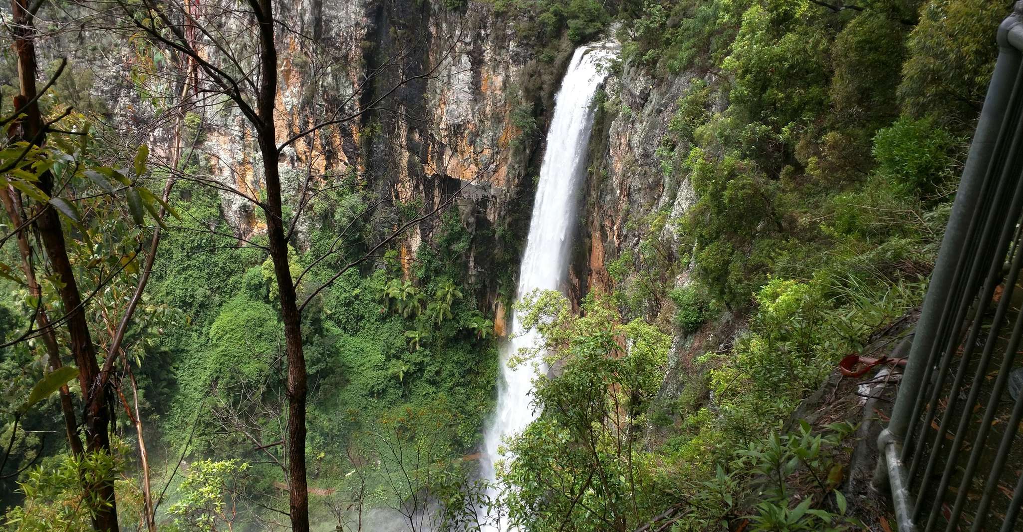 Gold Coast, Natural Bridge & Springbrook Waterfalls Tour - Hizvo