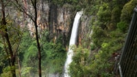 Gold Coast, Natural Bridge & Springbrook Waterfalls Tour yakınlarında yapılacak şeyler - Hizvo