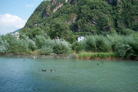 Bozen: 2-Hour Private Guided Tour