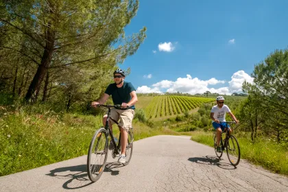 Ab Florenz: E-Bike-Tour durch die Toskana mit Mittagessen