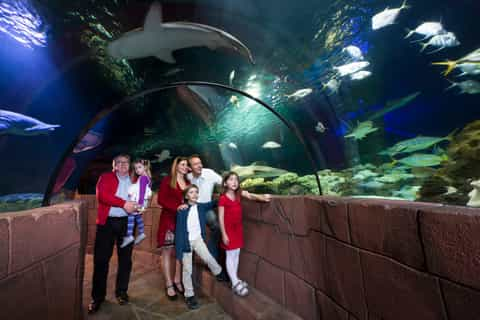 Hanover Zoos & Aquariums | GetYourGuide