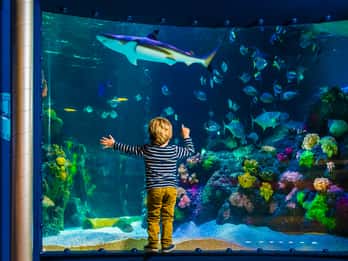 SEA LIFE Timmendorfer Strand Ticket