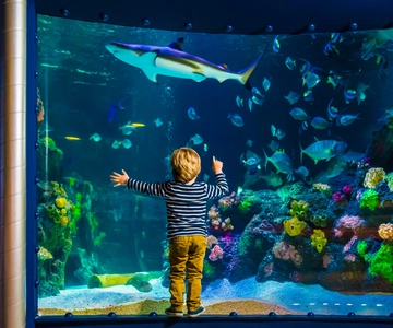 SEA LIFE Timmendorfer Strand Ticket