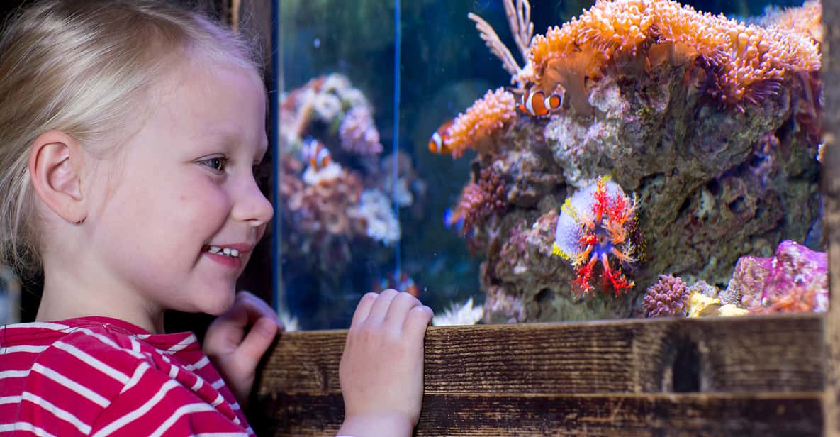 Afbeelding 4 van Oberhausen: SEA LIFE Oberhausen toegangsbewijs