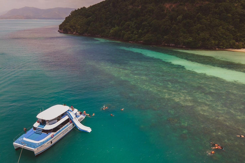 Koh Samui: Excursión en catamarán a motor con delfines y 3 islas