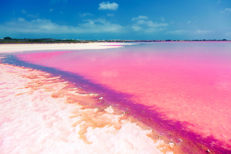 Från Cancun: Rundresa Las Coloradas och Rio Lagartos All Inclusive