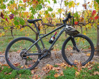 McLaren Vale Hills Vines and Wines Tour à vélo d'Adélaïde - Housity