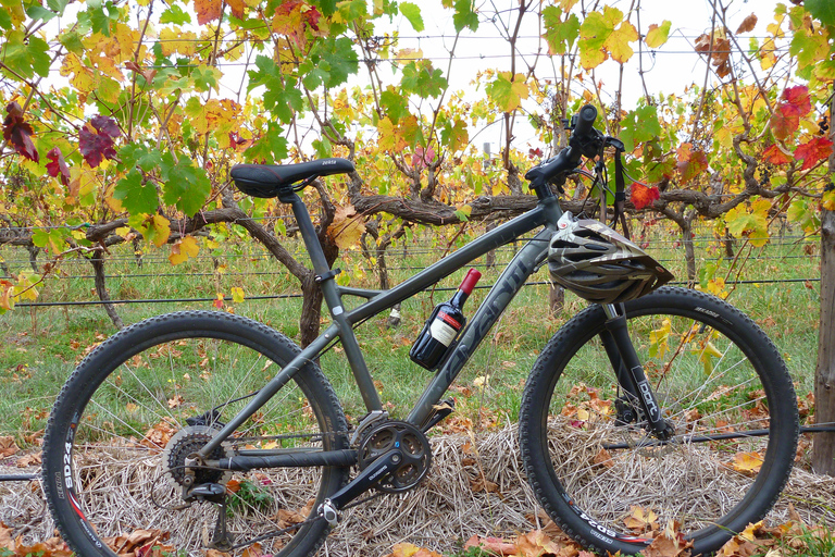 Cykeltur till Mclaren Vale Hills Vines and Wines från Adelaide