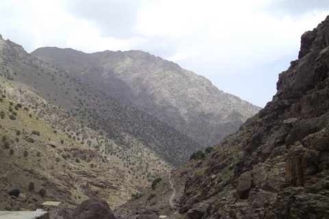 Van Marrakesh: 2-daagse Mount Toubkal TrekClimb Mount Toubkal: 2-daagse trektocht vanuit Marrakech