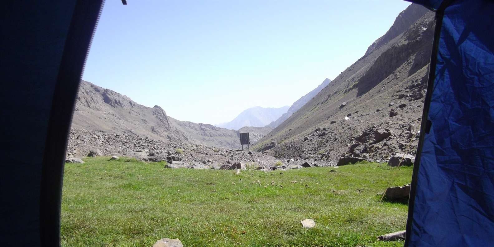 section