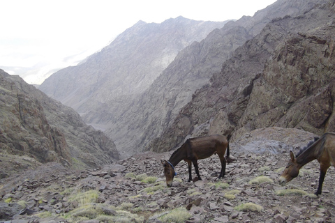 Van Marrakesh: 2-daagse Mount Toubkal TrekClimb Mount Toubkal: 2-daagse trektocht vanuit Marrakech