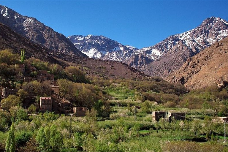 Da Marrakesh: trekking di 2 giorni al monte Toubkal