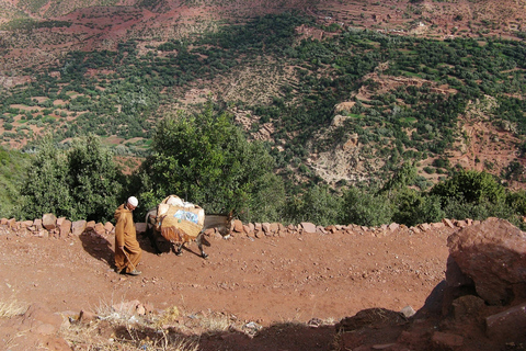 Da Marrakesh: trekking di 2 giorni al monte Toubkal