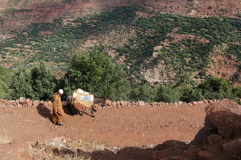 From Marrakesh: 2-Day Mount Toubkal Trek Climb Mount Toubkal: 2-Day Trek from Marrakech